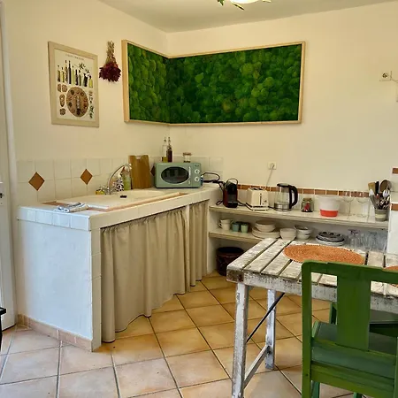 Appartamento Mas de la Sacristière Jonquerettes Esterno foto